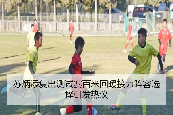 苏炳添复出测试赛百米回暖接力阵容选择引发热议