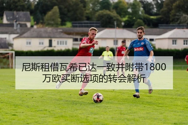 尼斯租借瓦希已达一致并附带1800万欧买断选项的转会解析